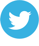 twitter icon